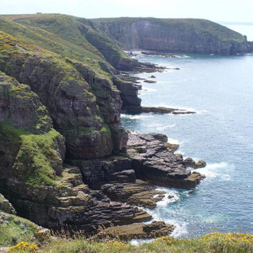 Cap Frehel